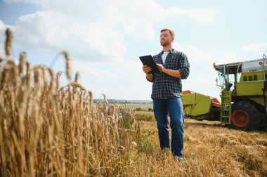 Happy farmer proudly standing in a field. Combine harvester driver going to crop rich wheat harvest. Agronomist wearing flannel shirt, looking at camera on a farmland.