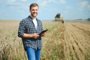 Farmer In Wheat Field Inspecting Crop. Farmer in wheat field with harvester.