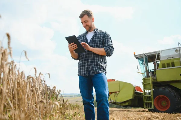 Farmer Standing In Wheat Field At Harvest.