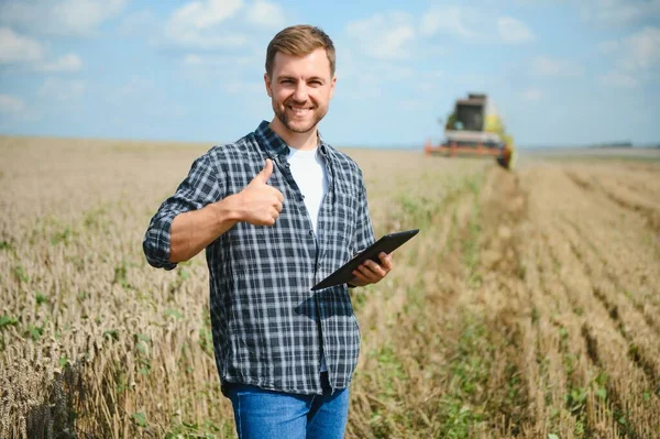 Tablet konumu önünde olan yakışıklı bir çiftçi hasat hasat alanında sırasında birleştirmek