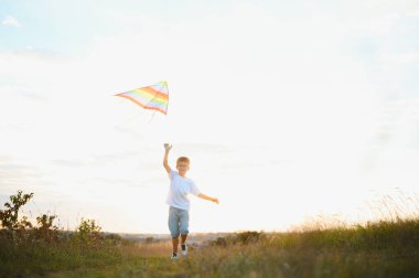 Kid with kite on meadow.