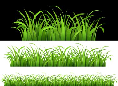 Green grass clipart