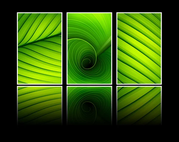 Collection of banners texture of green leaf — Stock Vector