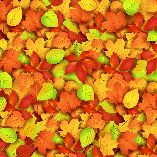 Hojas de otoño — Vector de stock