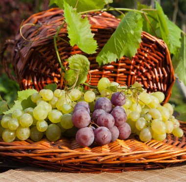 üzüm ile kompozisyon