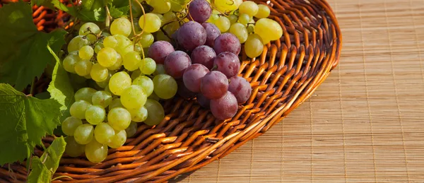 Composition with grapes — Stock Photo, Image