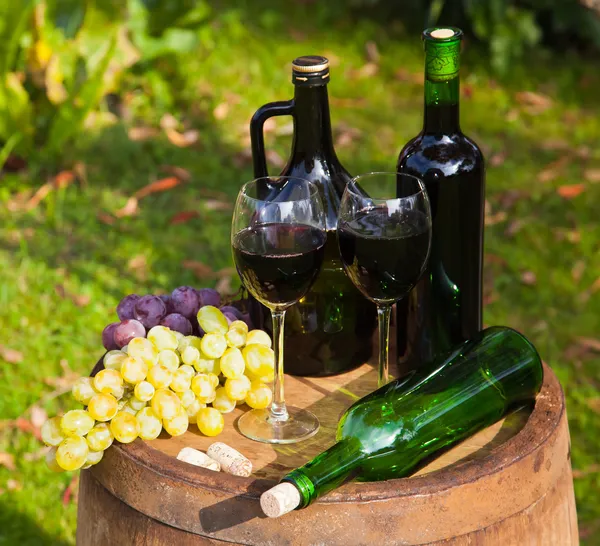 Still Life with Grapes — Stock Photo, Image