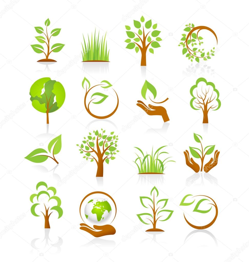 Collection of nature icons with reflection isolated on white