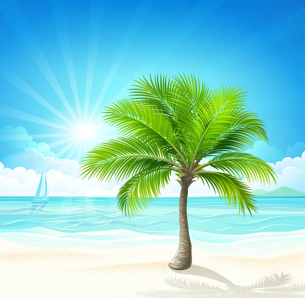 Тропічний пляж — стоковий вектор