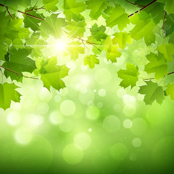 Natural green background - Stock Image - Everypixel