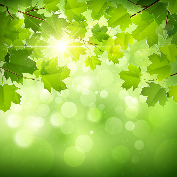 Natural green background