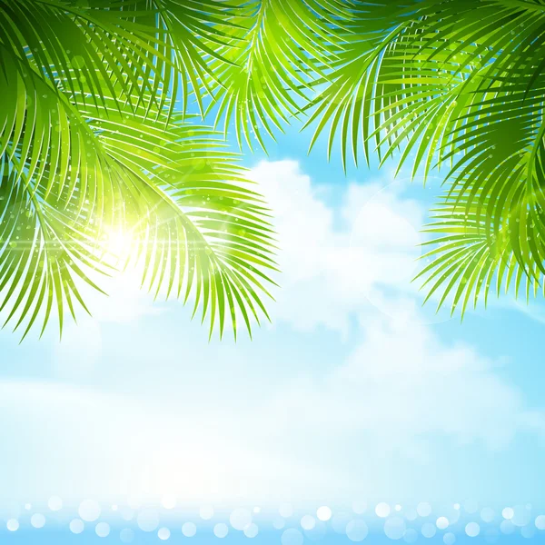 Hojas de palma con luz solar brillante — Vector de stock