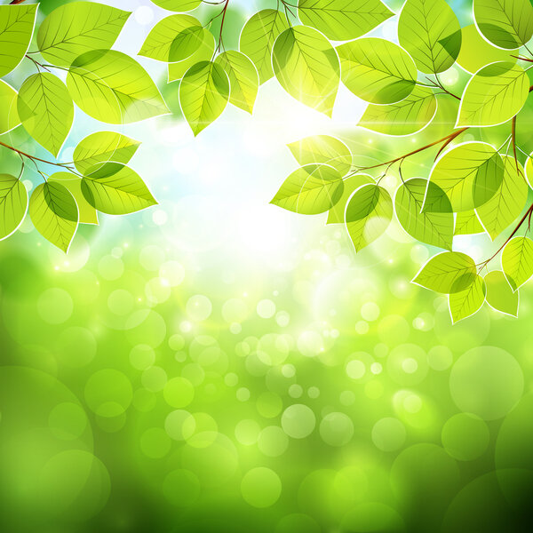 Естественный фон с листьями
