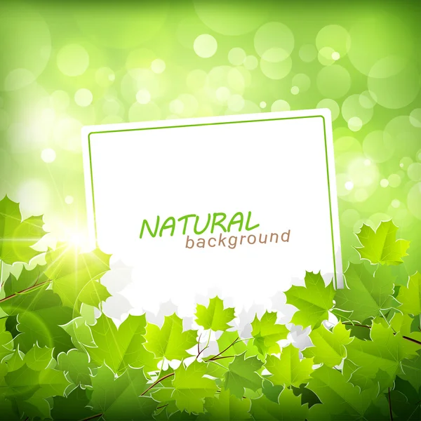 Natural green background — Stock Vector