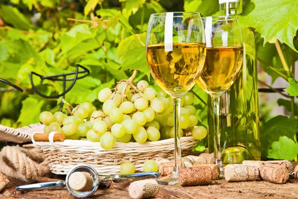 White wine — Stock Photo, Image