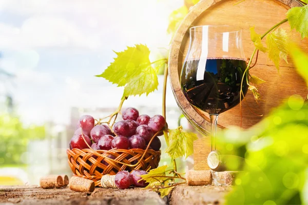 Kırmızı şarap ve üzüm. — Stok fotoğraf