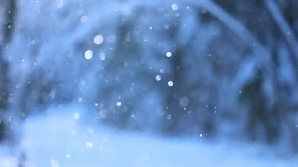 Winterlandschap met sneeuwvlokken en Bright Bokeh — Stockvideo