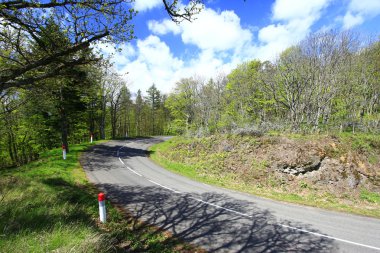 ülkede yol vosges Dağları, Fransa