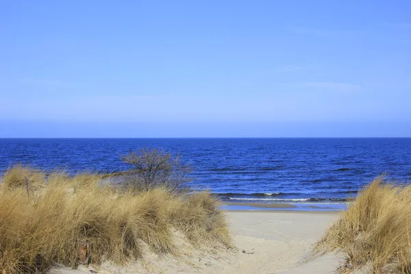 Vejen til stranden - Stock-foto