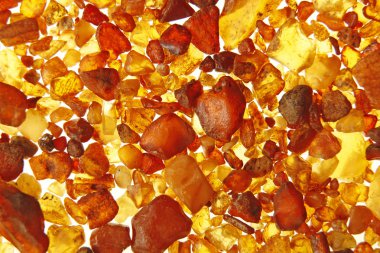 Amber baltic sea, Almanya dan