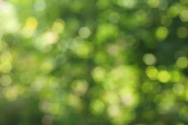 Background green bokeh — Stock Photo, Image