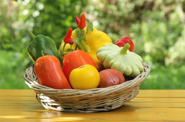 Mediterranean vegetables — Stock Photo, Image