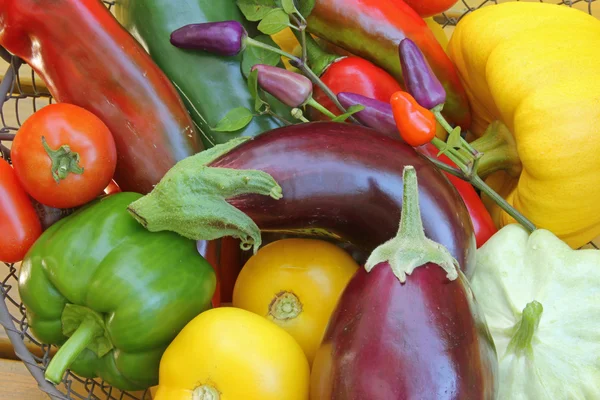 Mediterrane groenten — Stockfoto