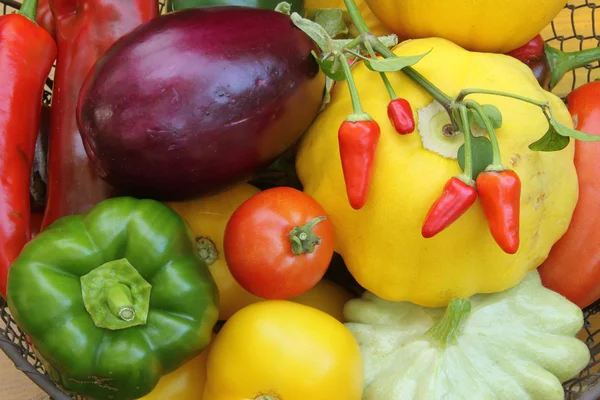 Середземноморський овочі — стокове фото
