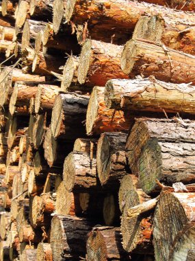 Woodpile