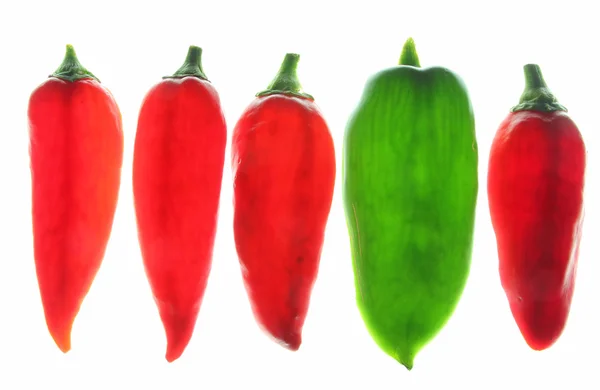 Cabai manis (Capsicum annuum ) — Stok Foto