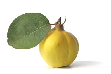 Ayva (Cydonia oblonga)