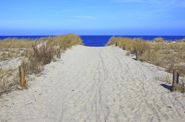 Vägen till stranden, Östersjön — Stockfoto