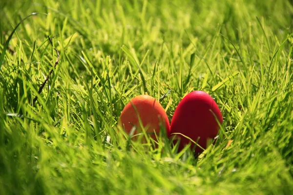 Huevos rojos de Pascua — Foto de Stock