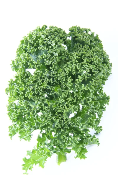 Πράσινο λάχανο — Stock fotografie