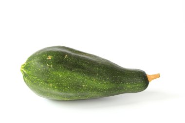 süs squash