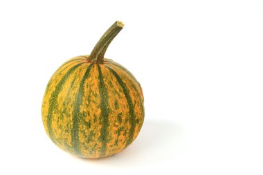 süs squash