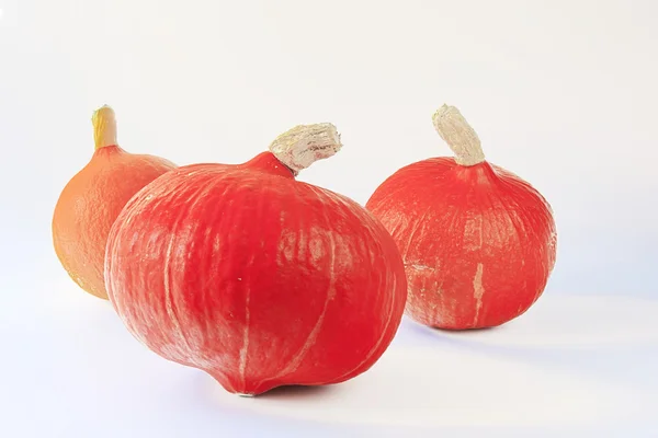 Hokkaido pumpkins — Stock Photo, Image