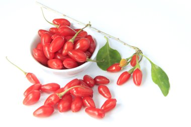 Goji üzümleri (Lycium barbarlığı)