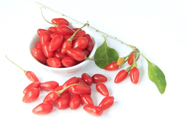 Goji berries (Lycalcium barbarum)) — 图库照片