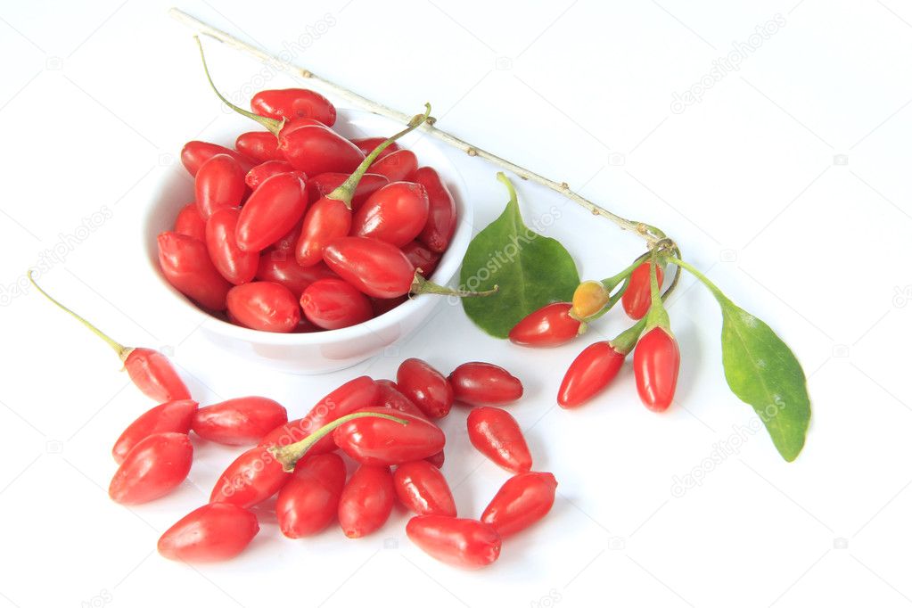 Goji berries (Lycium barbarum)