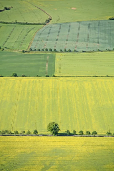 Fields — Stock Photo, Image