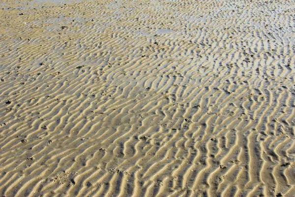 De Noordzee modder met zeepier zooi — Stockfoto