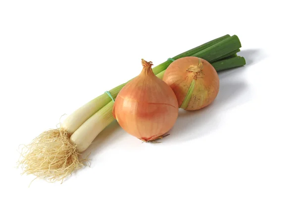 Spring onion and onions — Stock Photo, Image