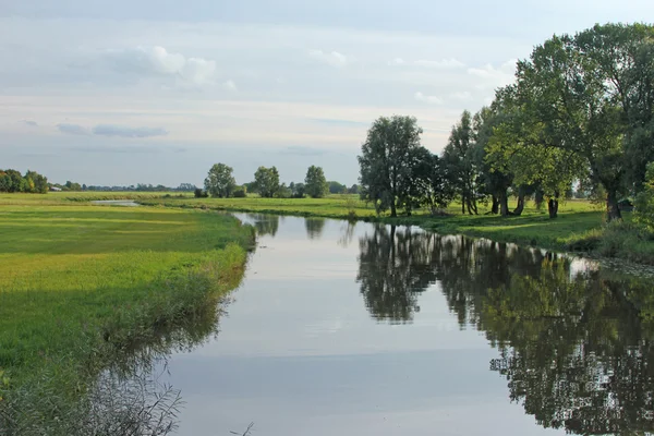 Landschap in Oost-Friesland — Stockfoto