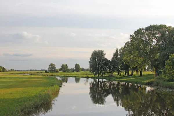 Krajobraz Wschodniej Fryzji — Zdjęcie stockowe