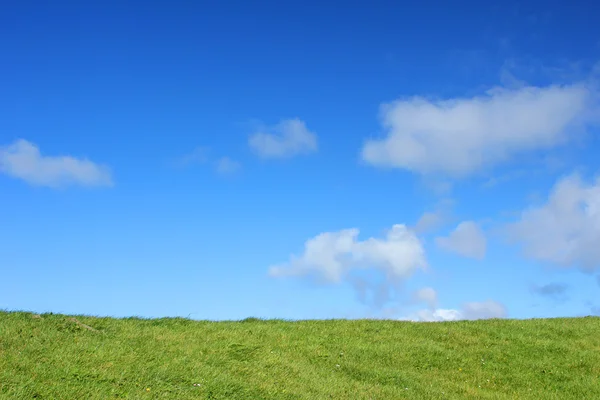 Łąka i błękitne niebo — Zdjęcie stockowe