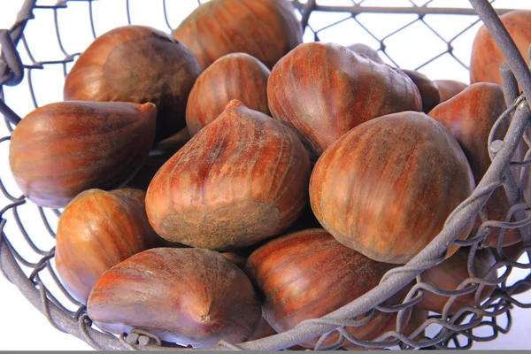 Tatlı kestane (Castanea sativa)