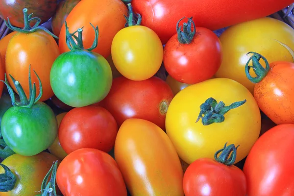 Renkli domates — Stok fotoğraf