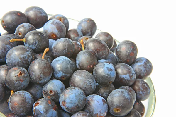 Sloes - meyve karaçalı — Stok fotoğraf