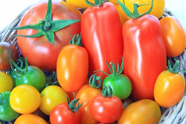 Colorful tomatoes — Stock Photo, Image